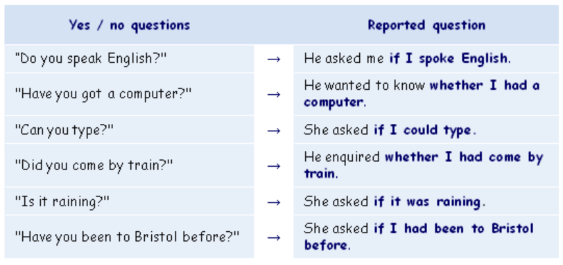 Yes / No Questions 
